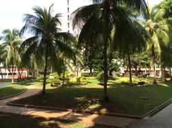 Tampines Court (Enbloc) (D18), Condominium #115519882